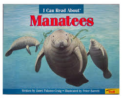 No Image Available